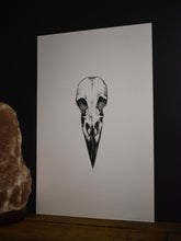 Load image into Gallery viewer, Raven Skull Print