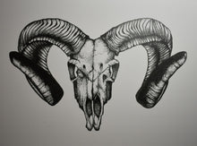 Load image into Gallery viewer, Corsican Ram Skull Print