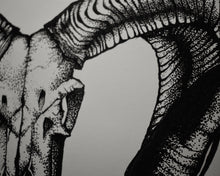Load image into Gallery viewer, Corsican Ram Skull Print
