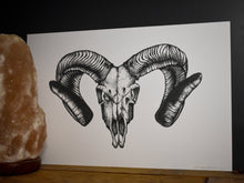Load image into Gallery viewer, Corsican Ram Skull Print