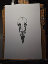 Load image into Gallery viewer, Raven Skull Print