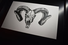 Load image into Gallery viewer, Corsican Ram Skull Print