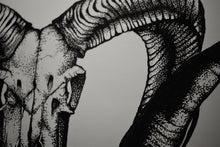Load image into Gallery viewer, Corsican Ram Skull Print