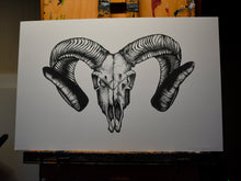 Load image into Gallery viewer, Corsican Ram Skull Print