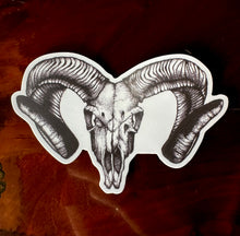 Load image into Gallery viewer, Corsican Ram Skull Sticker
