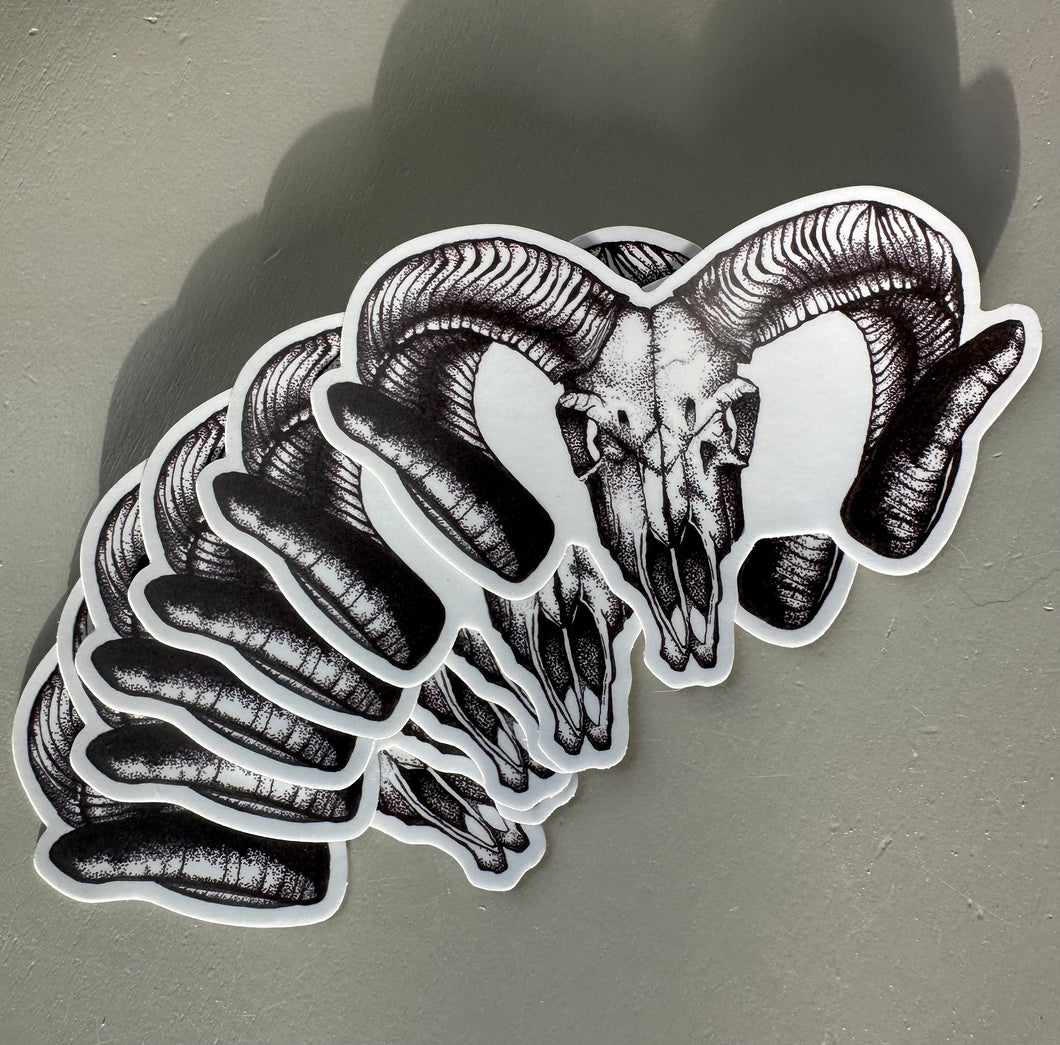 Corsican Ram Skull Sticker