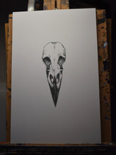 Load image into Gallery viewer, Raven Skull Print
